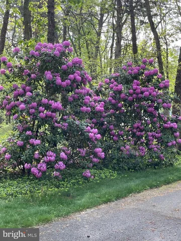 $1,550,000 | 65 Bortons Road, Marlton, NJ 08053