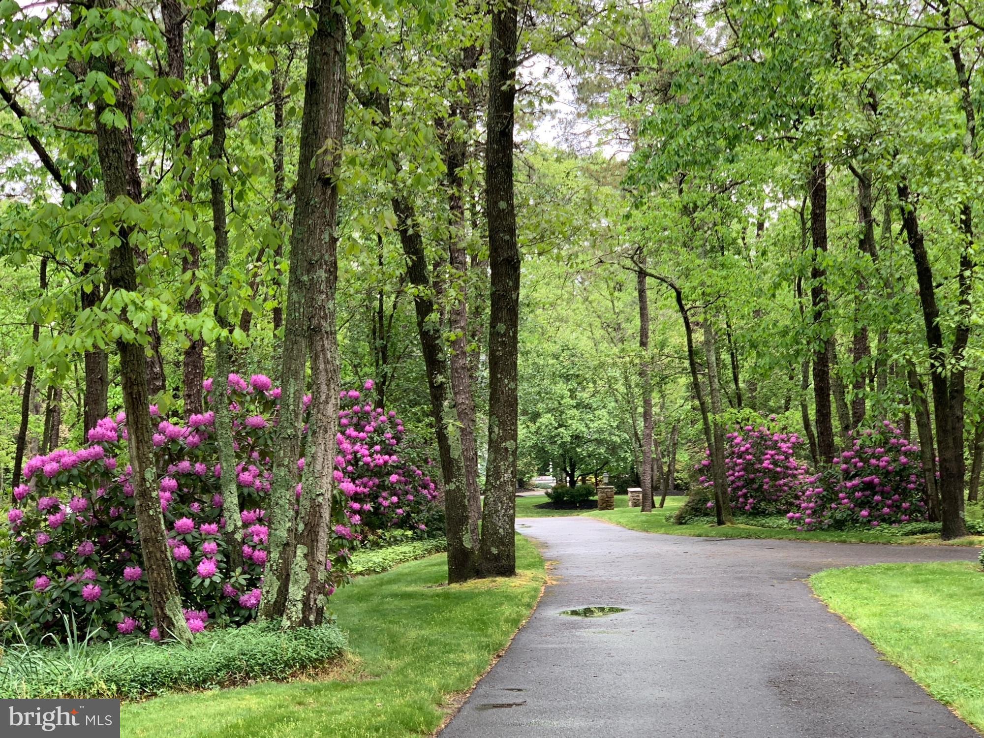 65 Bortons Road Marlton, NJ 08053 - Photo 58 of 66 spring/summer- landscaping in full bloom