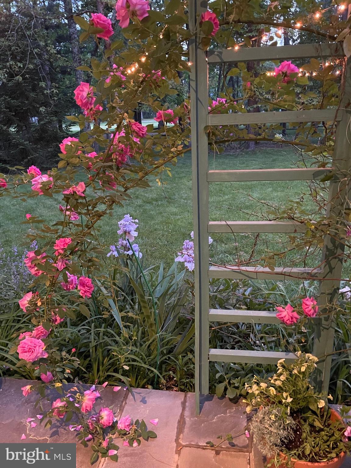 65 Bortons Road Marlton, NJ 08053 - Photo 60 of 66 spring/summer- landscaping in full bloom