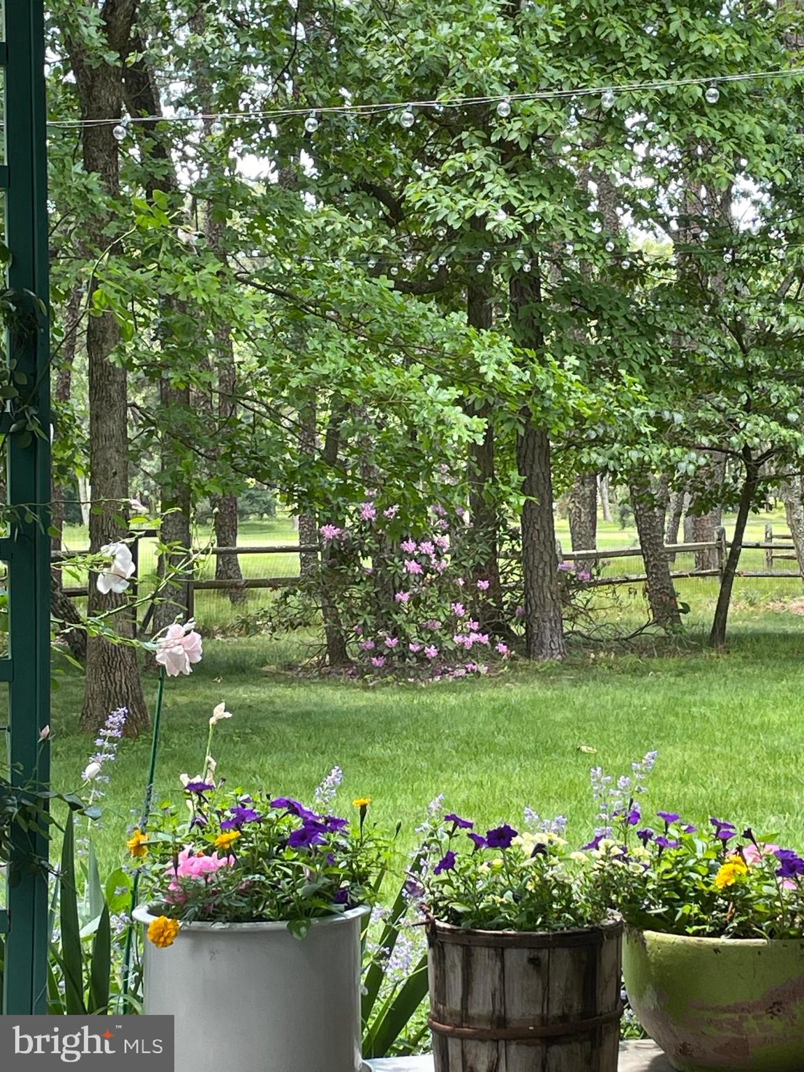 65 Bortons Road Marlton, NJ 08053 - Photo 62 of 66 spring/summer- landscaping in full bloom