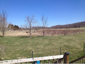 375 Sugar Bowl Road Chuckey, TN 37641 - Photo 2 of 4 Photo 2