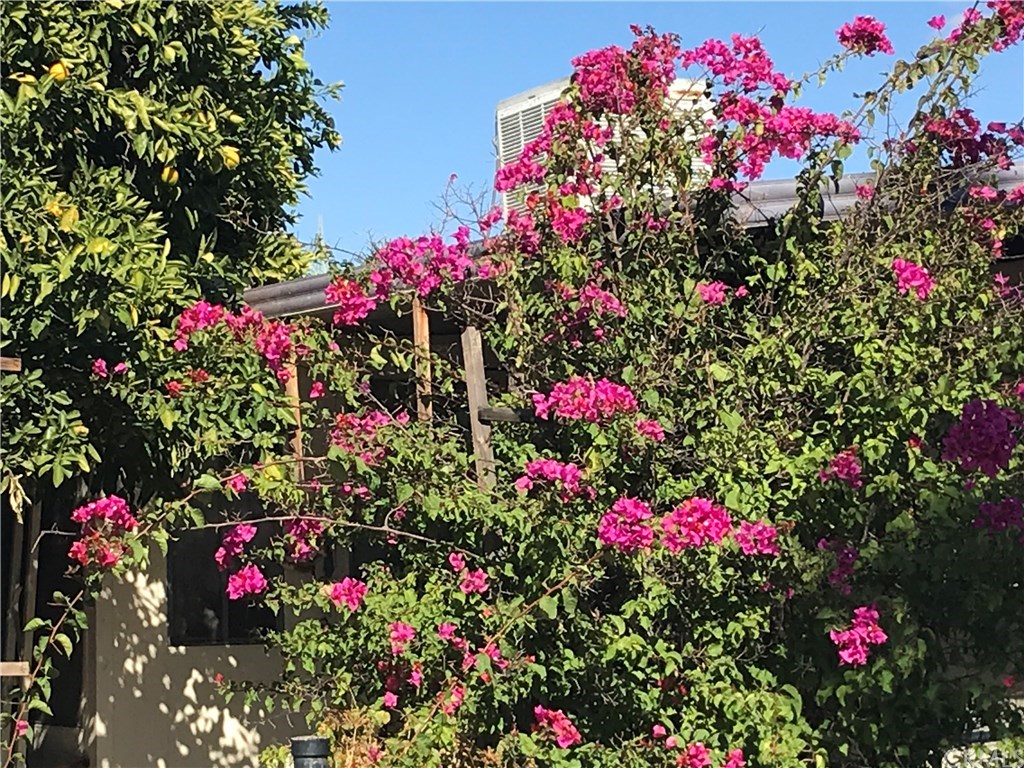 1097 State Street Hemet, CA 92543 - Photo 2 of 18