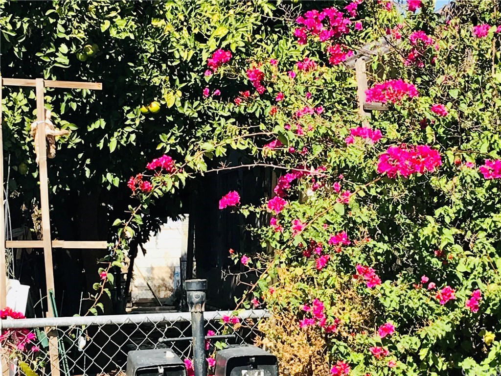 1097 State Street Hemet, CA 92543 - Photo 3 of 18