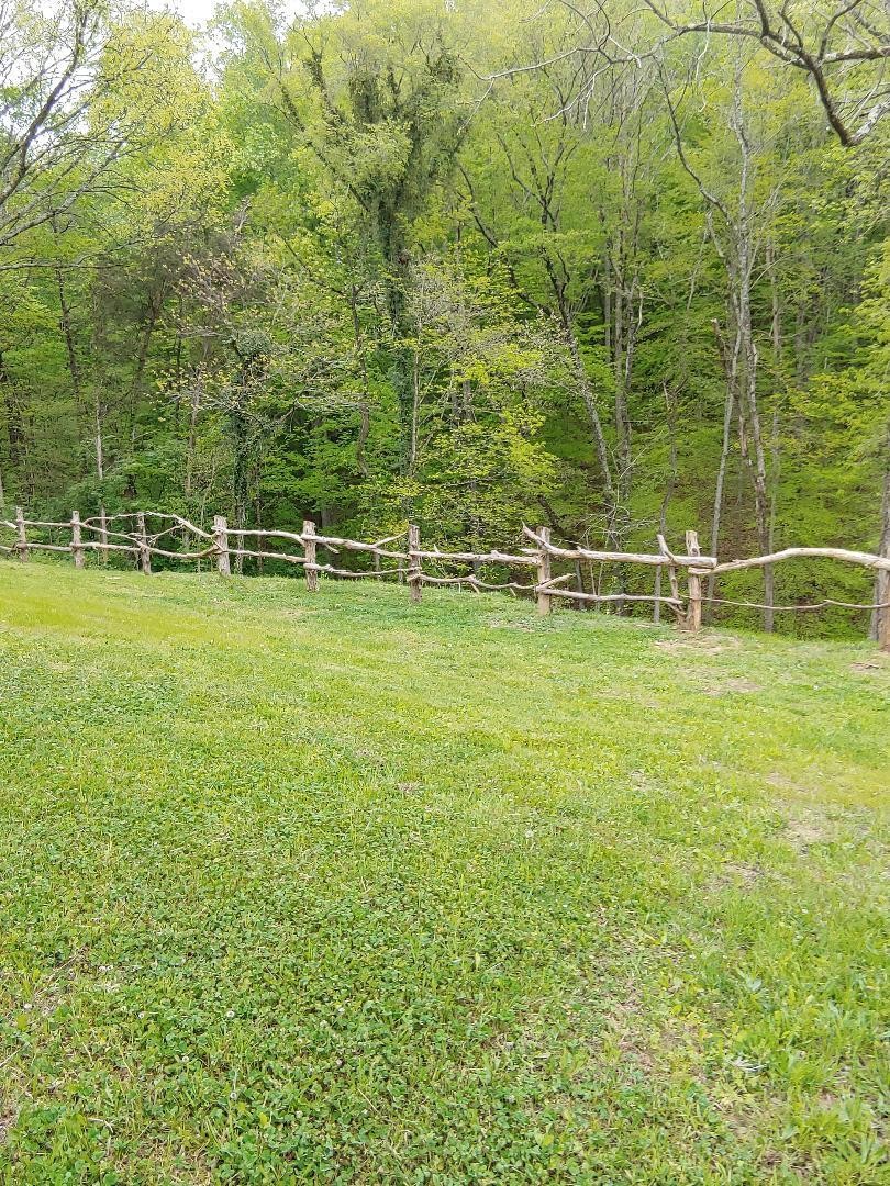 522 Randles Road Strawberry Plains, TN 37871 - Photo 21 of 35 Gallery Image 21