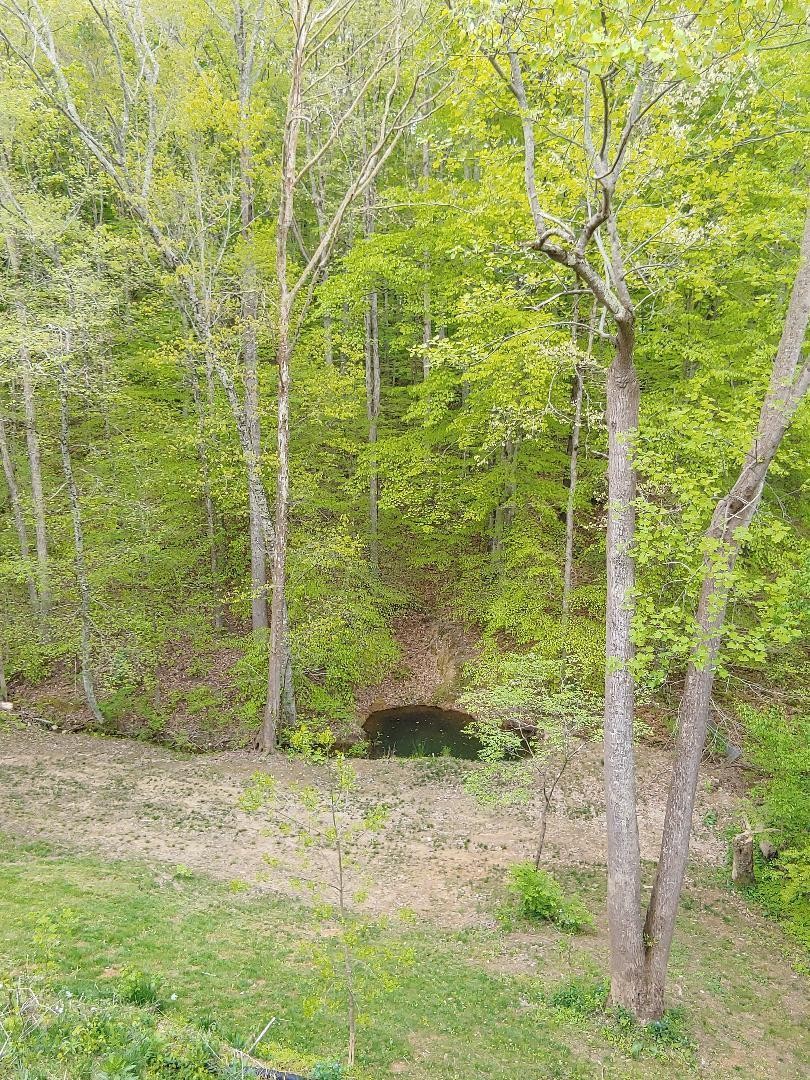 522 Randles Road Strawberry Plains, TN 37871 - Photo 22 of 35 Gallery Image 22