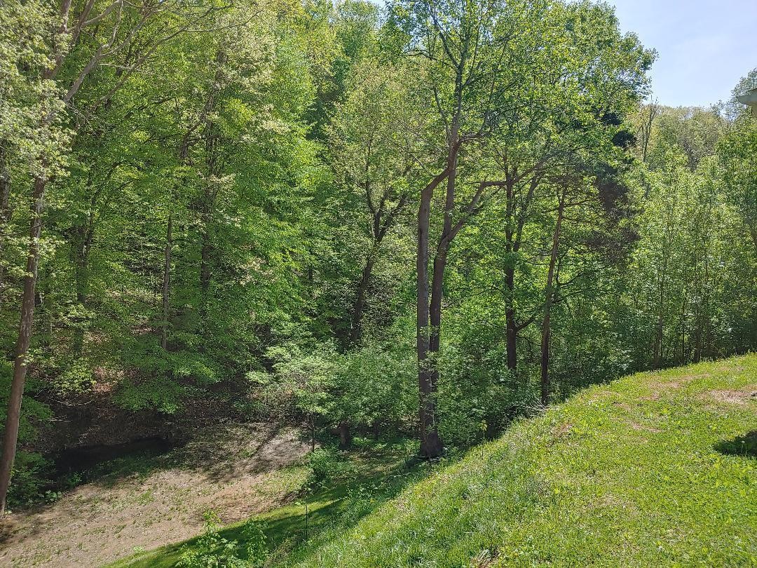 522 Randles Road Strawberry Plains, TN 37871 - Photo 26 of 35 Gallery Image 26