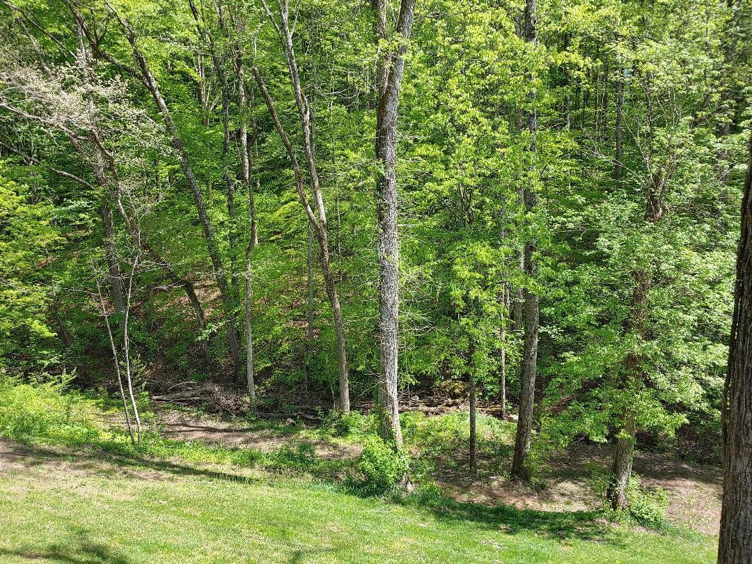 522 Randles Road Strawberry Plains, TN 37871 - Photo 27 of 35 Gallery Image 27