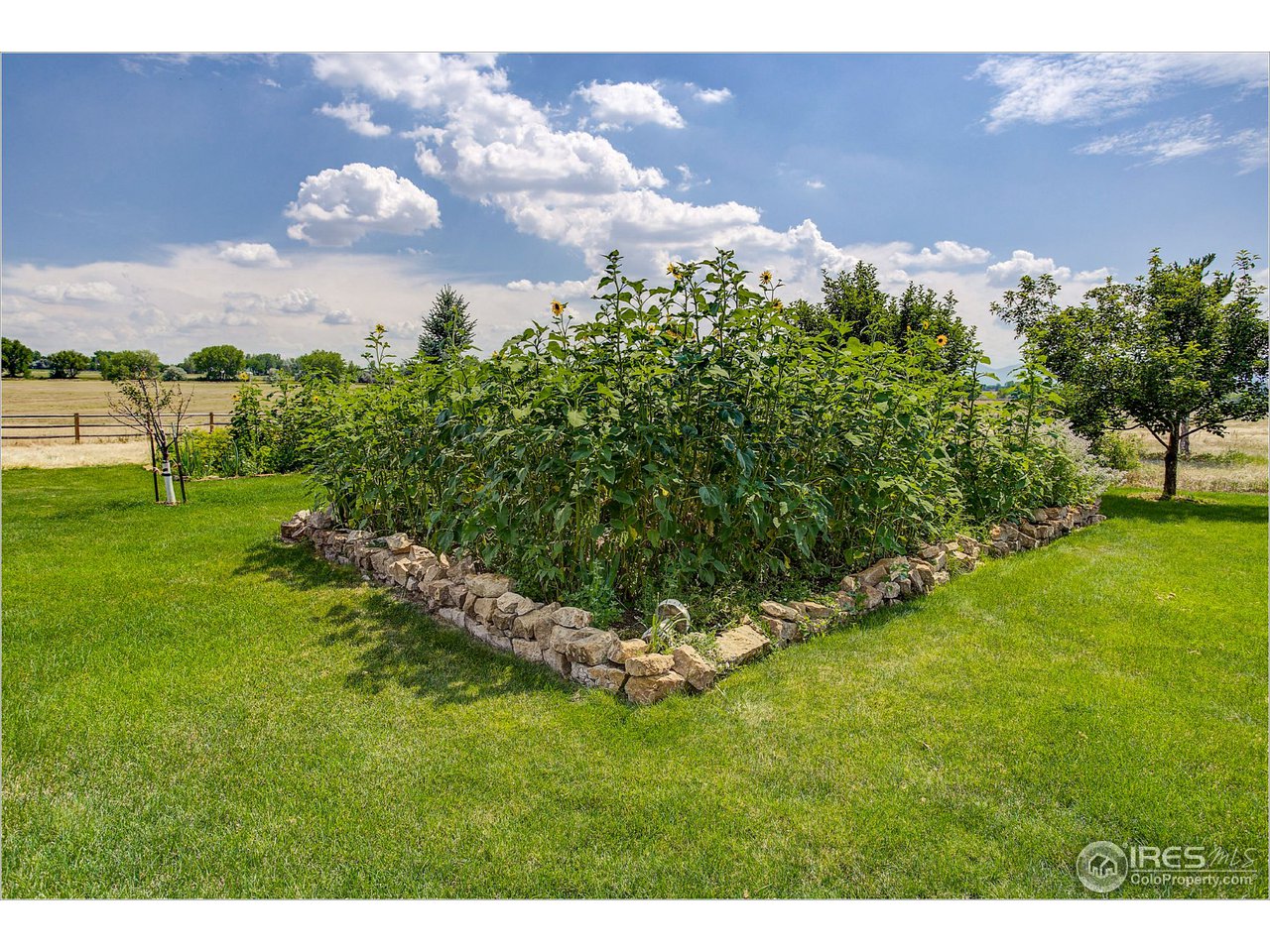 8550 Valmont Road Boulder, CO 80301 - Photo 10 of 34 Gallery Image 10