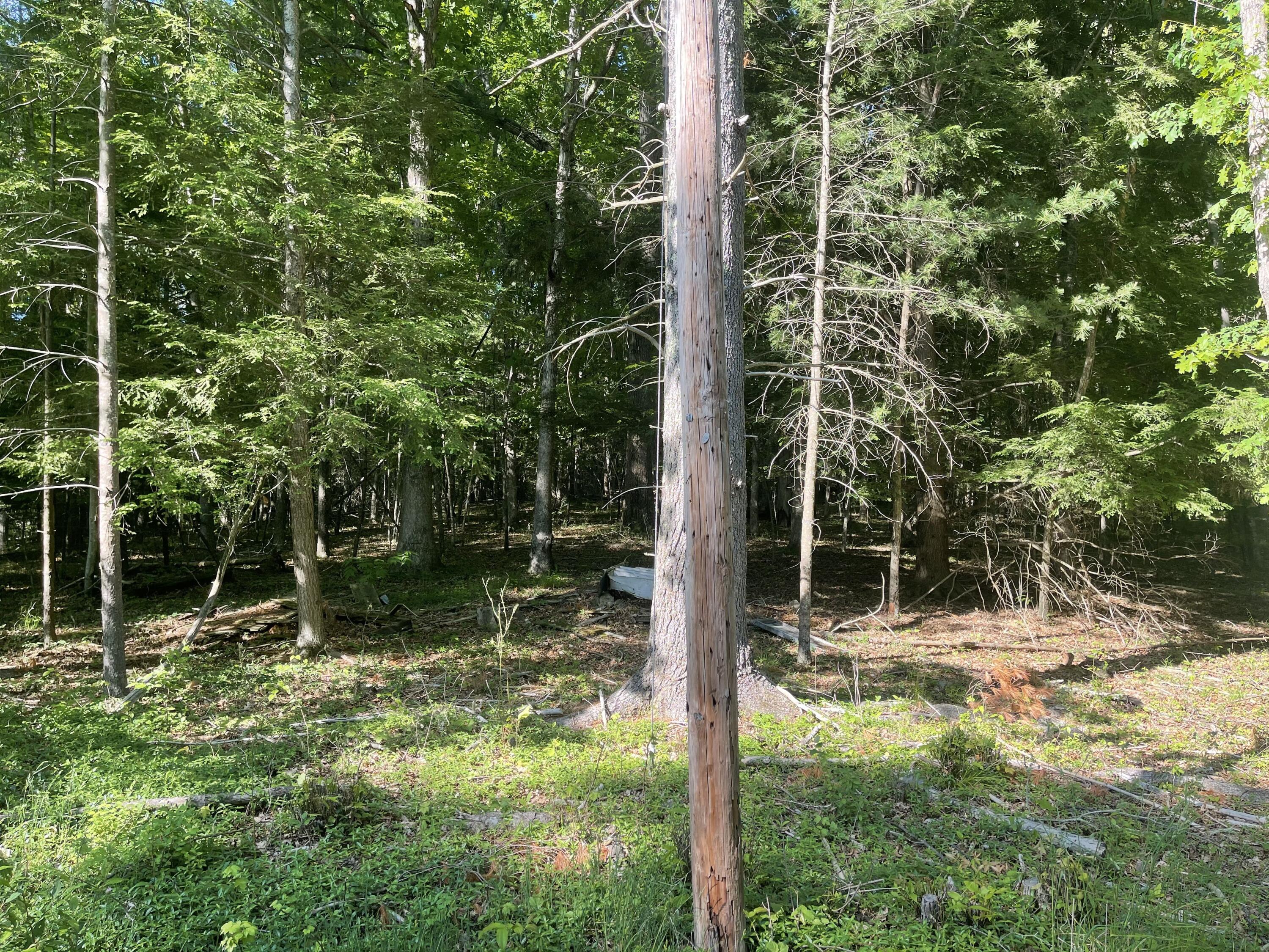 129 Hughes Road Daniels, WV 25832 - Photo 1 of 5 Gallery Image 1