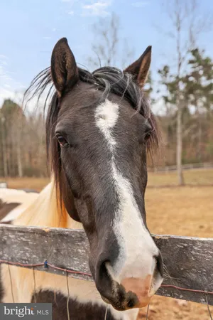 $809,000 | 10211 Laurel Ridge Lane, Culpeper, VA 22701