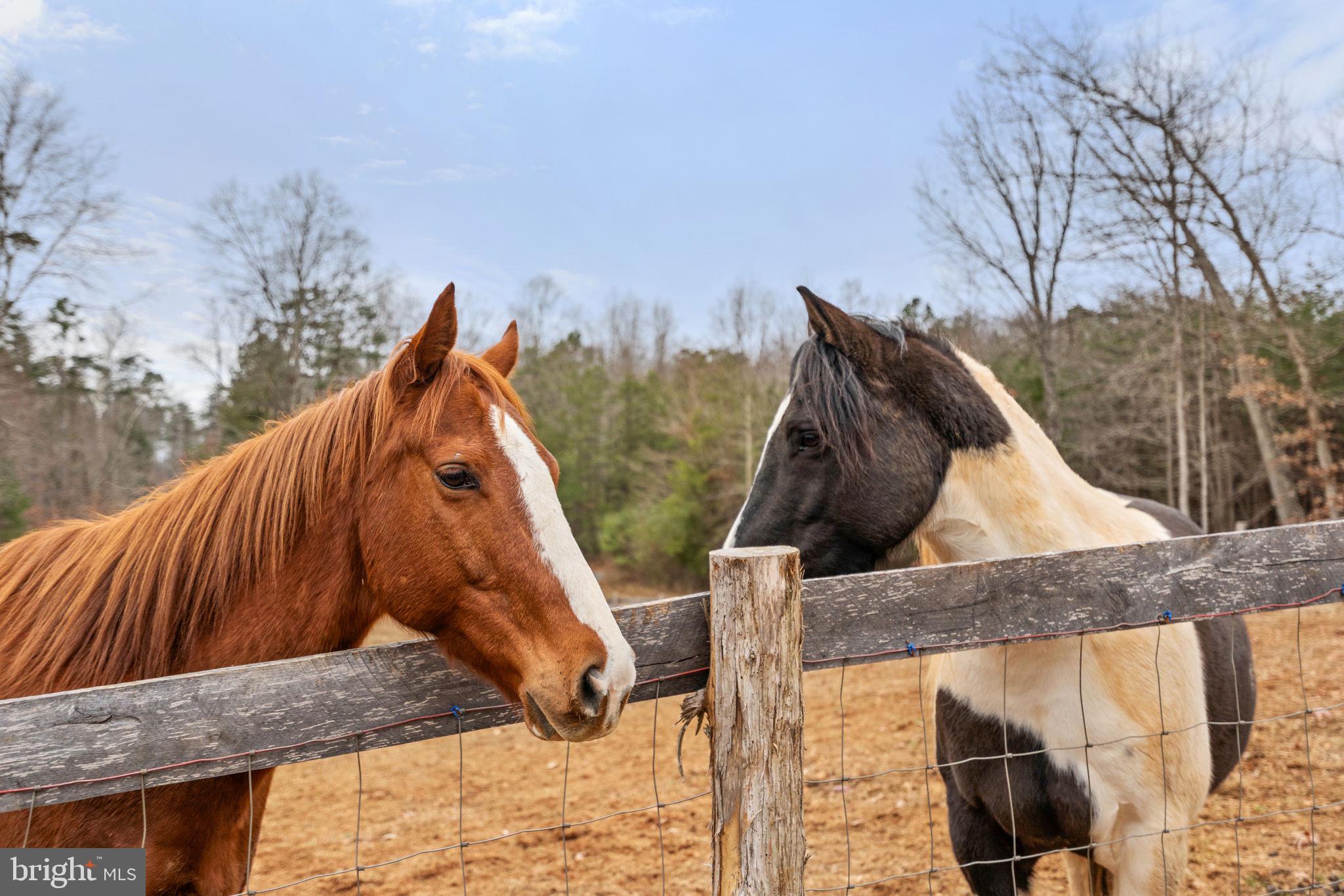 10211 Laurel Ridge Lane Culpeper, VA 22701 - Photo 103 of 118