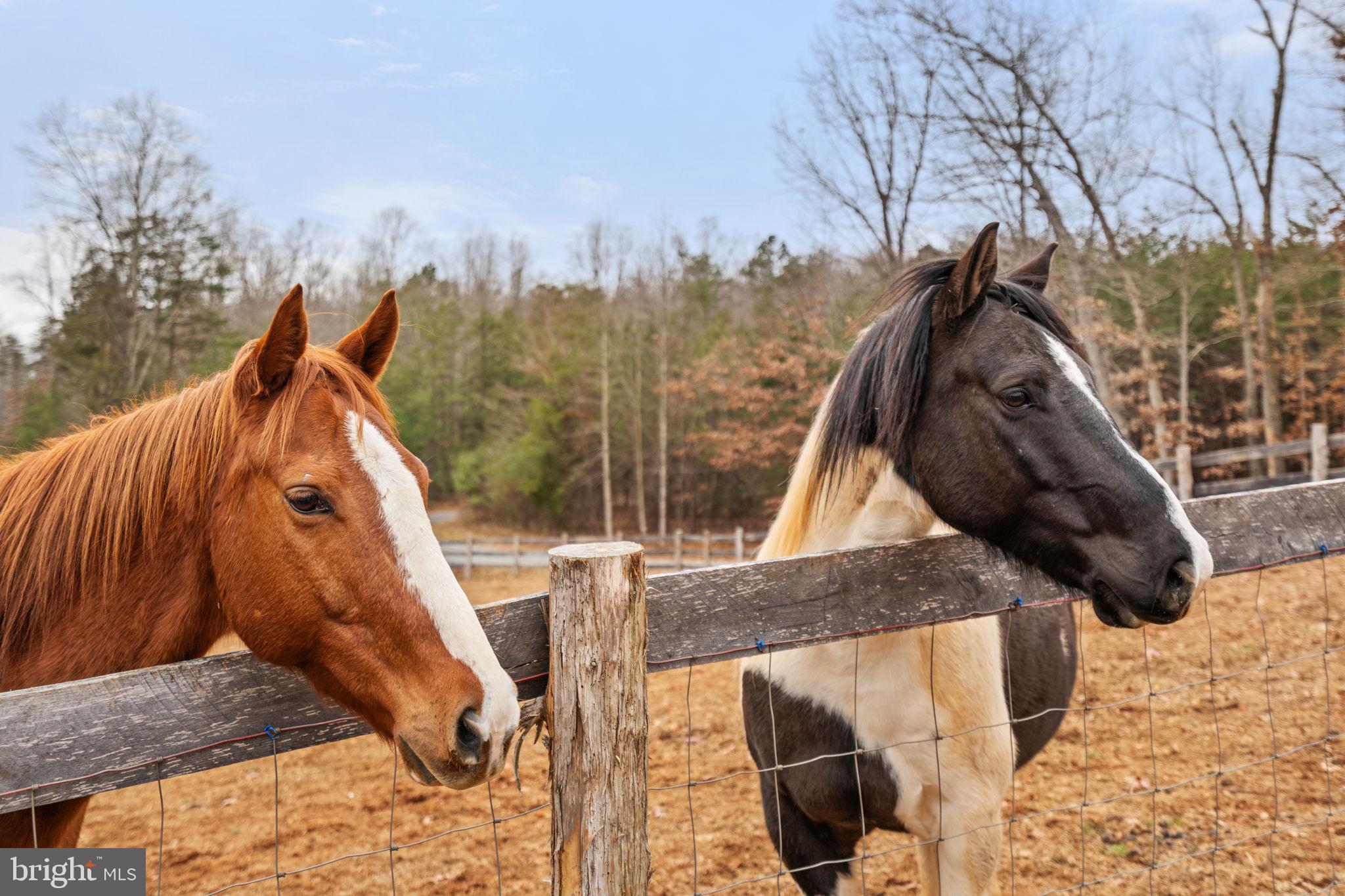 10211 Laurel Ridge Lane Culpeper, VA 22701 - Photo 104 of 118