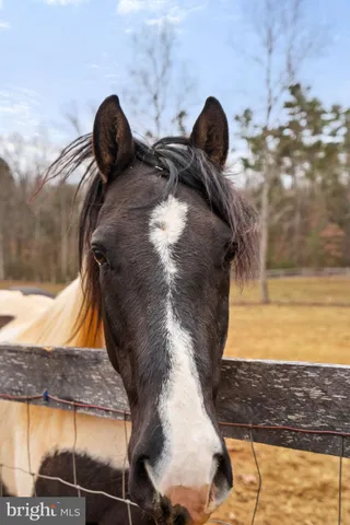 $809,000 | 10211 Laurel Ridge Lane, Culpeper, VA 22701
