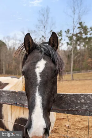 $809,000 | 10211 Laurel Ridge Lane, Culpeper, VA 22701