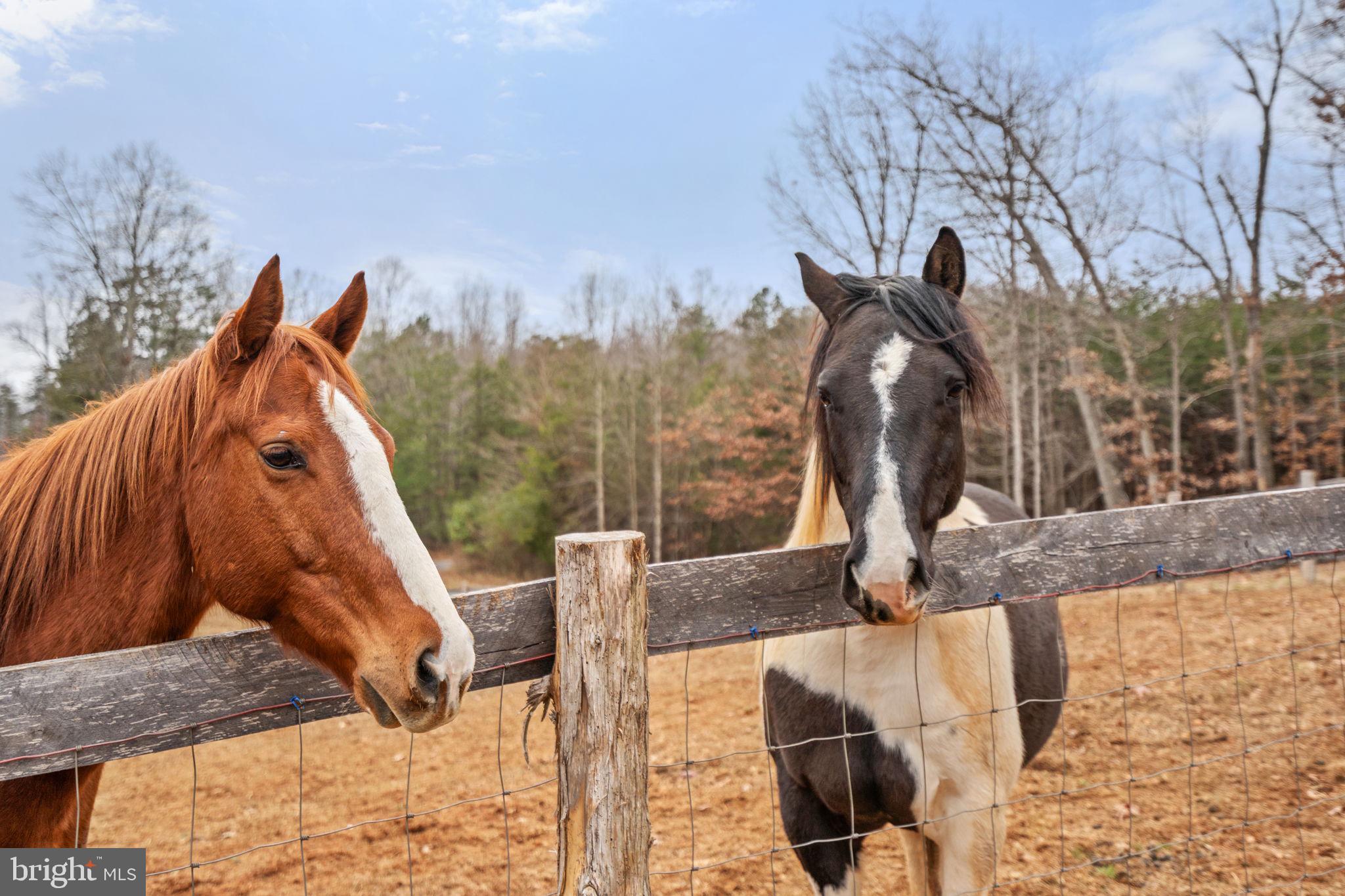 10211 Laurel Ridge Lane Culpeper, VA 22701 - Photo 107 of 118