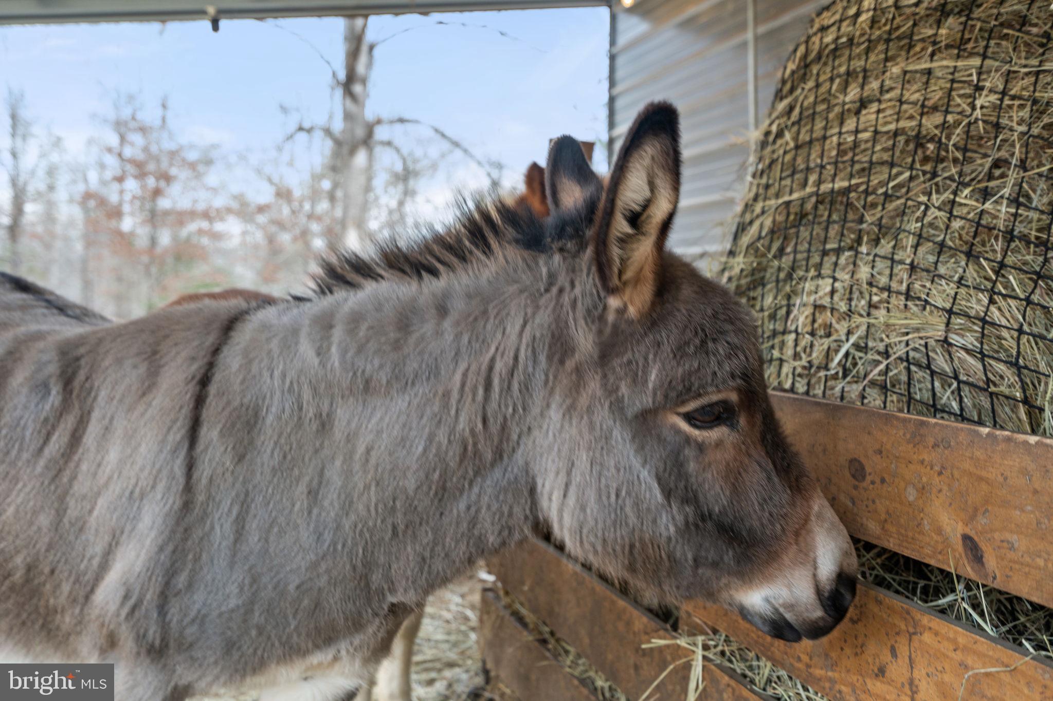 10211 Laurel Ridge Lane Culpeper, VA 22701 - Photo 109 of 118
