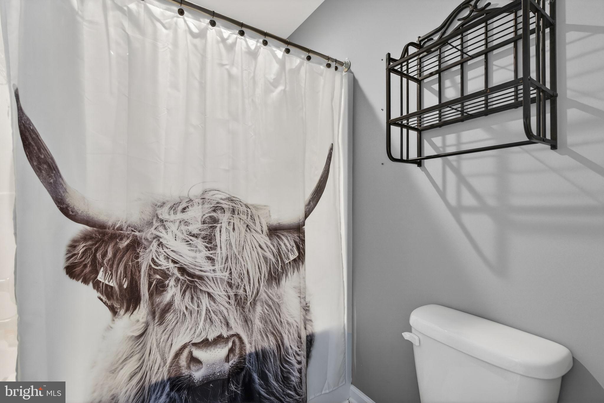 10211 Laurel Ridge Lane Culpeper, VA 22701 - Photo 52 of 118