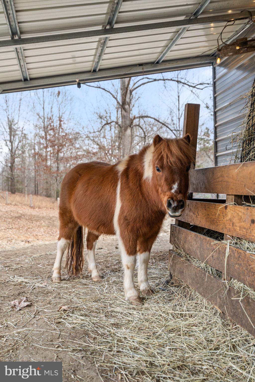 10211 Laurel Ridge Lane Culpeper, VA 22701 - Photo 92 of 118