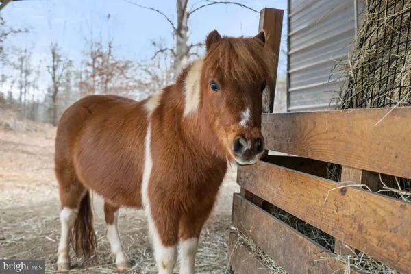 $809,000 | 10211 Laurel Ridge Lane, Culpeper, VA 22701