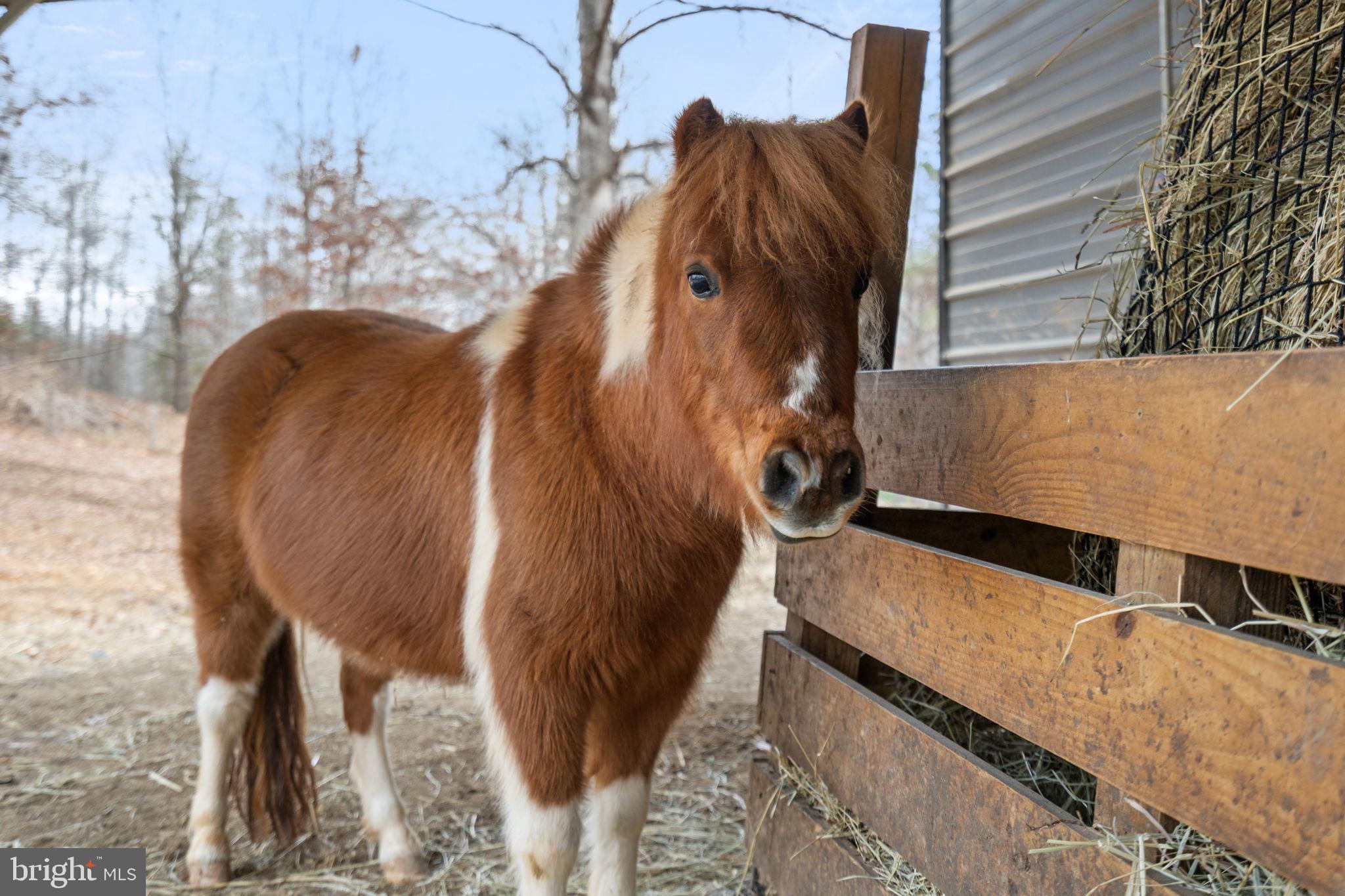 10211 Laurel Ridge Lane Culpeper, VA 22701 - Photo 93 of 118
