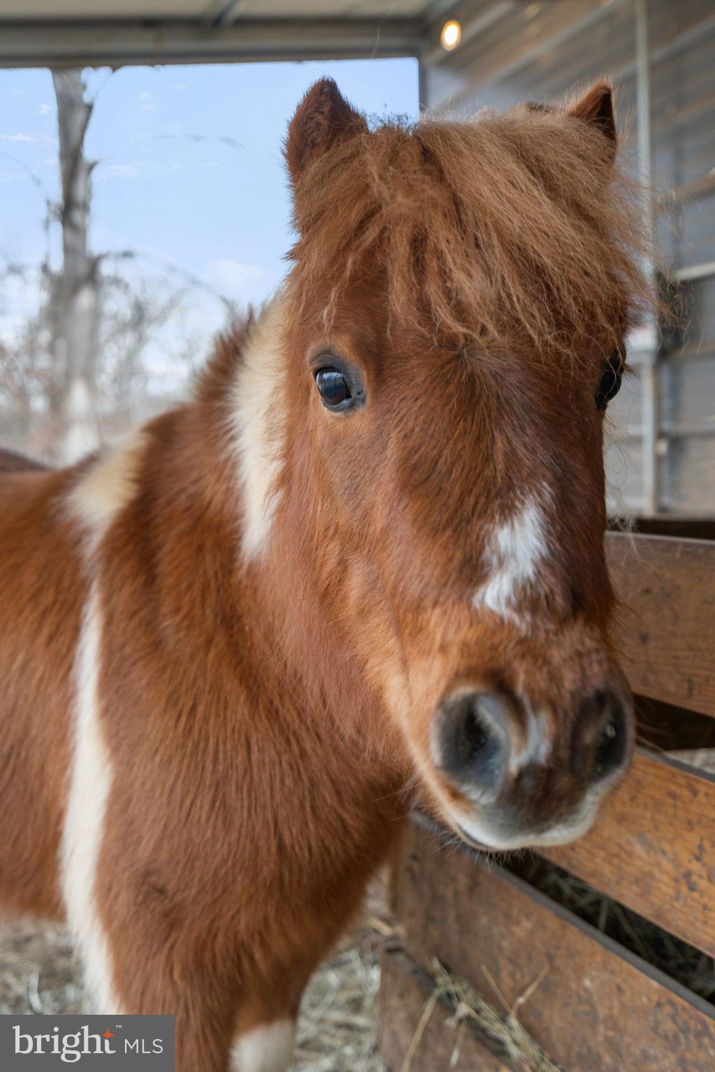 10211 Laurel Ridge Lane Culpeper, VA 22701 - Photo 94 of 118