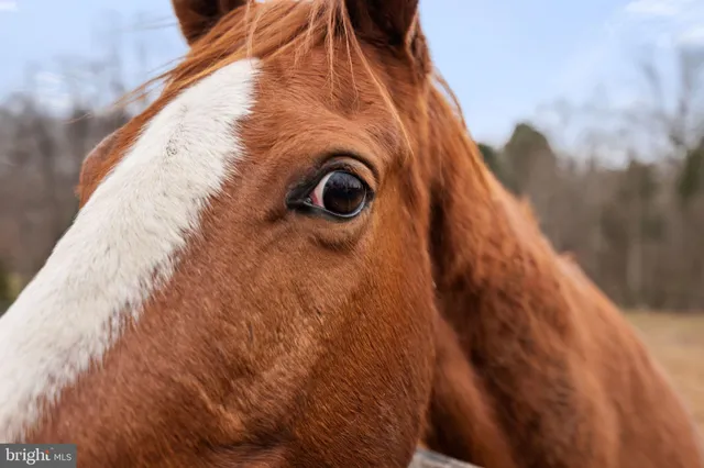 $809,000 | 10211 Laurel Ridge Lane, Culpeper, VA 22701