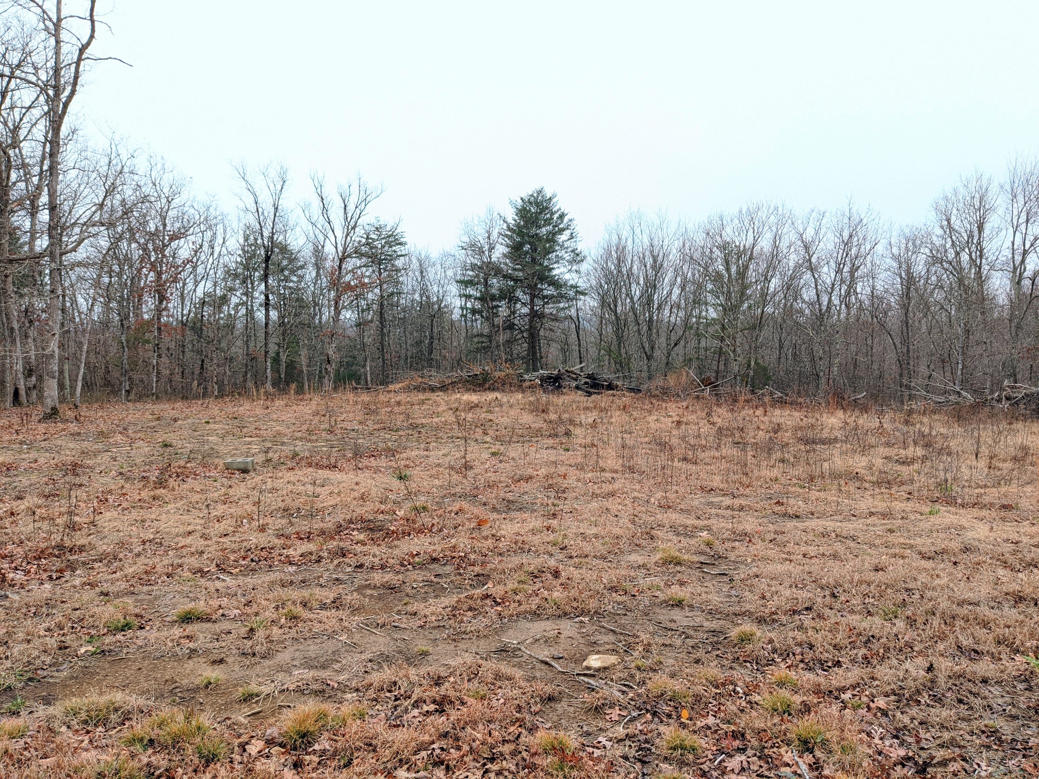 642 Meyers Road Altamont, TN 37301 - Photo 27 of 33