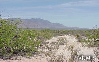 0 Three Triangle Ranches Bowie, AZ 85605 - Photo 3 of 3