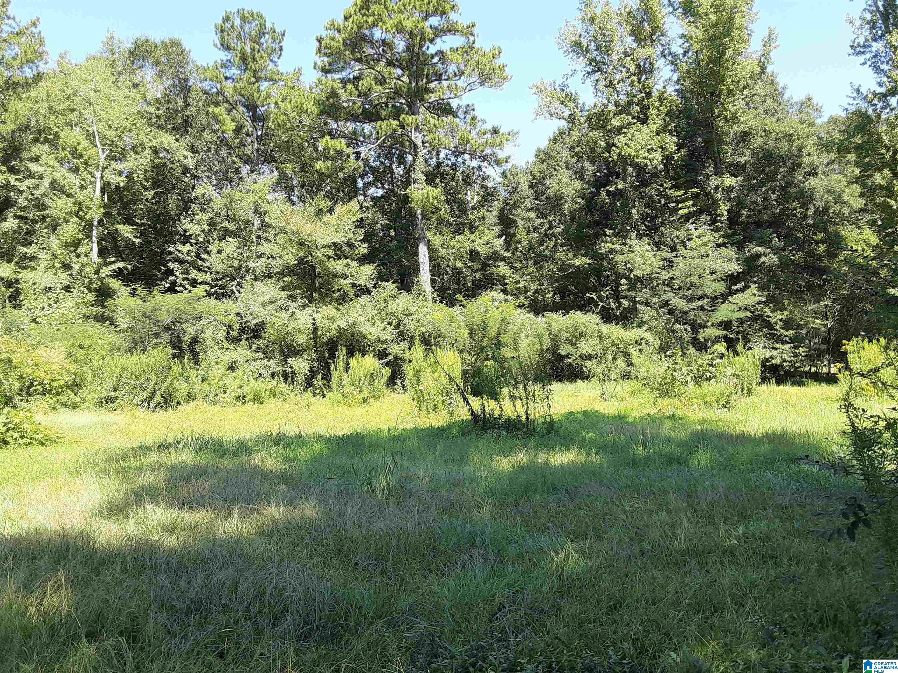 4060 Dean Road Pinson, AL 35126 - Photo 28 of 28
