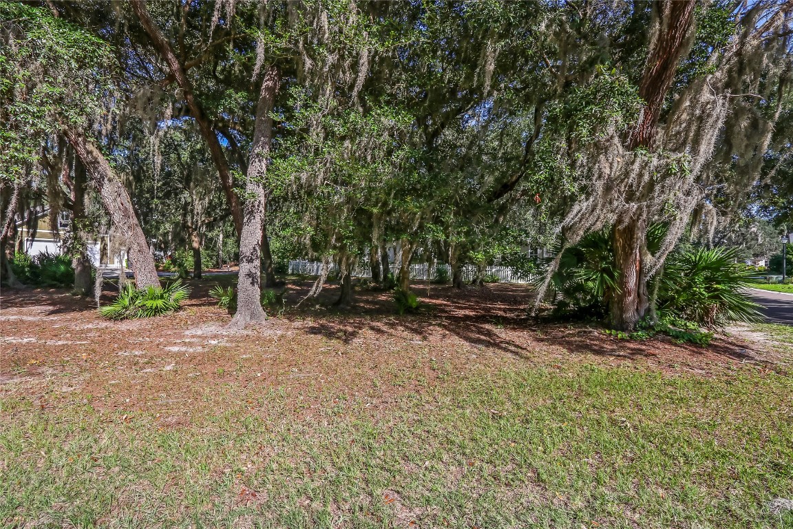 28963 Grandview Manor Yulee, FL 32097 - Photo 4 of 12