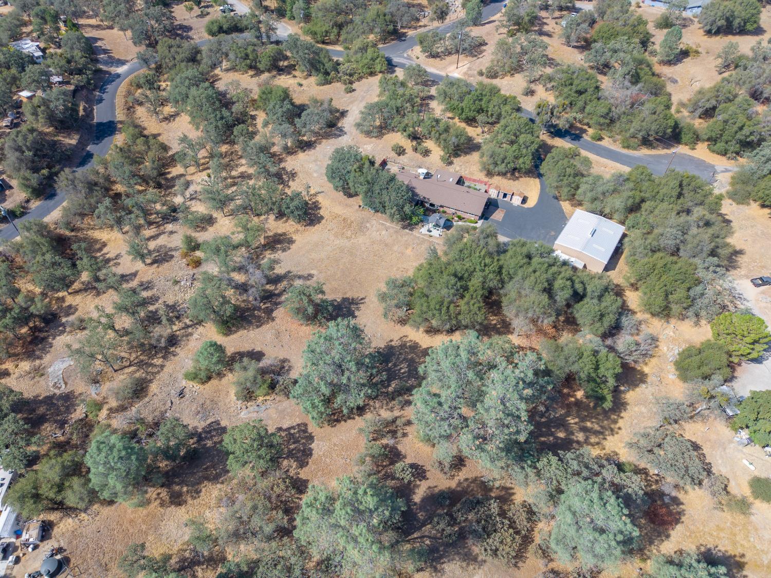 44585 Spring Hill Road Coarsegold, CA 93614 - Photo 66 of 85 Gallery Image 66