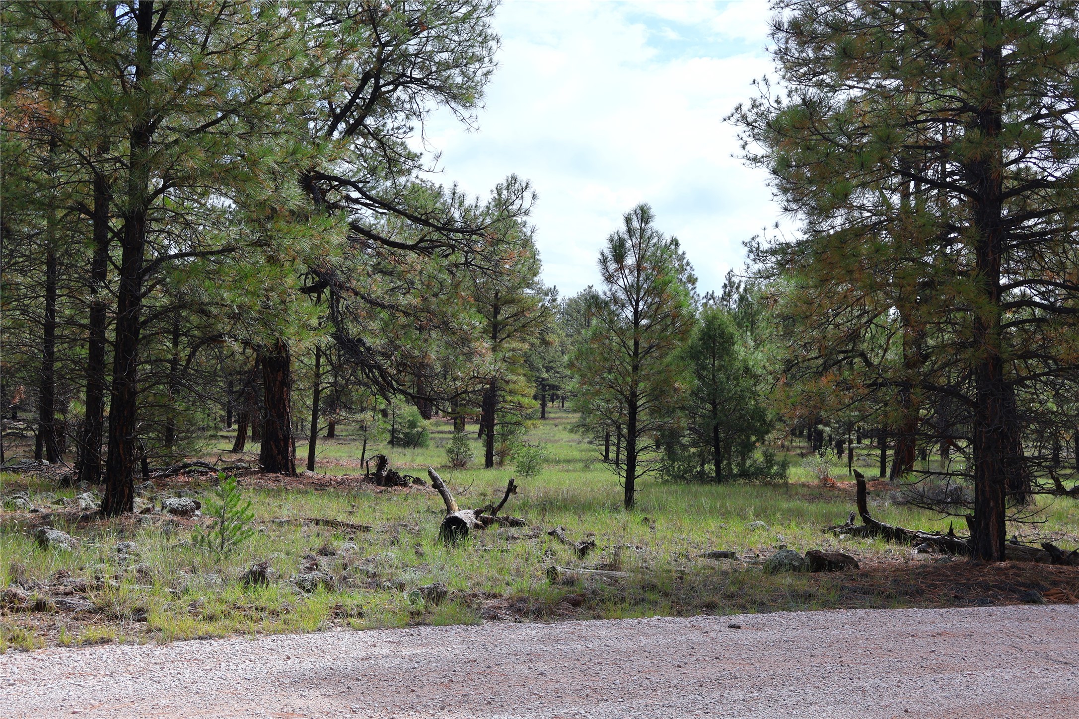 Lot 44 Rhyolite Road Grants, NM 87020 - Photo 25 of 31 Gallery Image 25