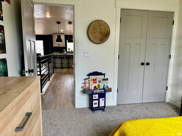 4349 Half Mile Road East Enoch, UT 84721 - Photo 16 of 36 Bedroom with light carpet, a textured ceiling, and a closet