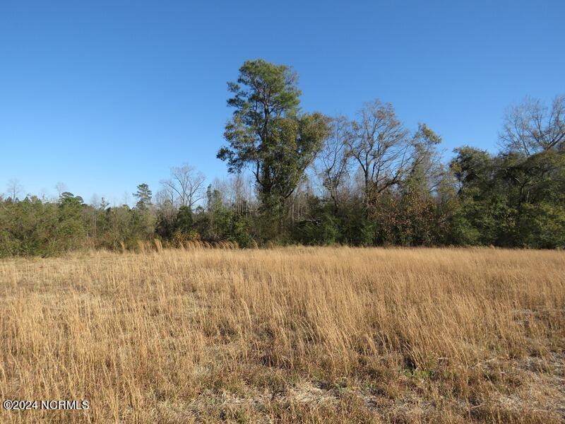 Tbd Odum Road Lumberton, NC 28360 - Photo 7 of 15 IMG_7341