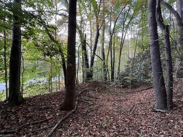 $29,900 | 0 Pipers Gap Road, Unit LOT 17 PLUS 4 ACRES, Mount Airy, NC 27030