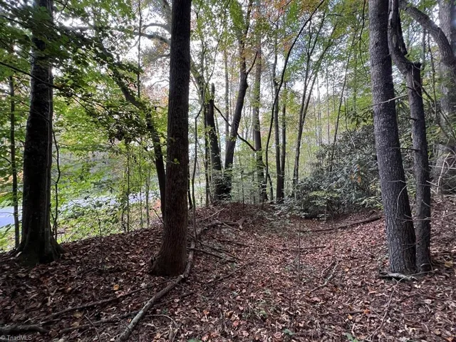 $29,900 | 0 Pipers Gap Road, Unit LOT 17 PLUS 4 ACRES, Mount Airy, NC 27030