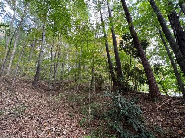 $29,900 | 0 Pipers Gap Road, Unit LOT 17 PLUS 4 ACRES, Mount Airy, NC 27030