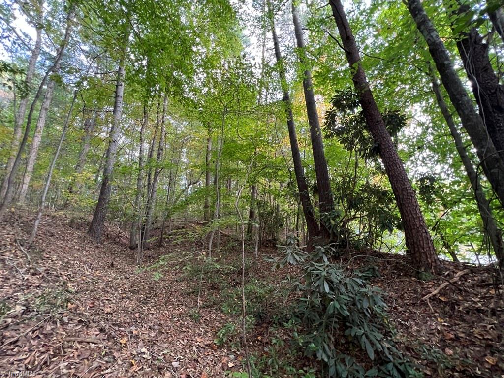 0 Pipers Gap Road, Unit LOT 17 PLUS 4 ACRES Mount Airy, NC 27030 - Photo 3 of 11
