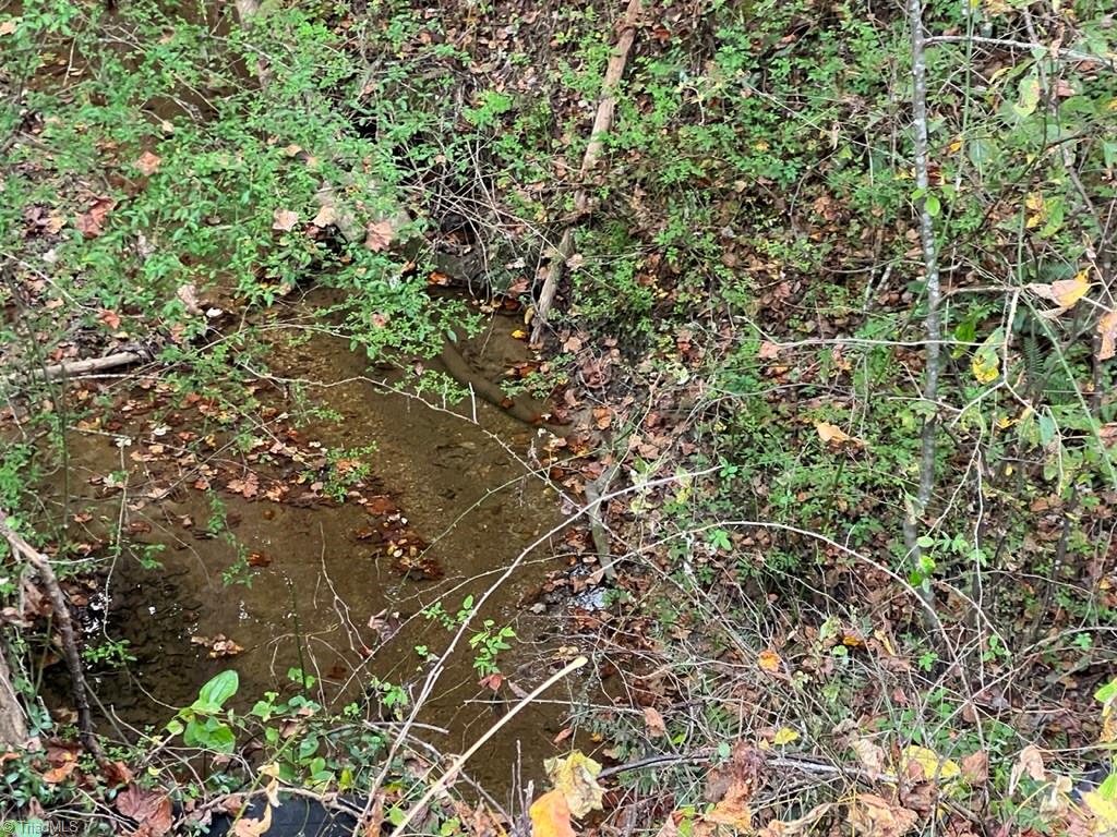 0 Pipers Gap Road, Unit LOT 17 PLUS 4 ACRES Mount Airy, NC 27030 - Photo 4 of 11