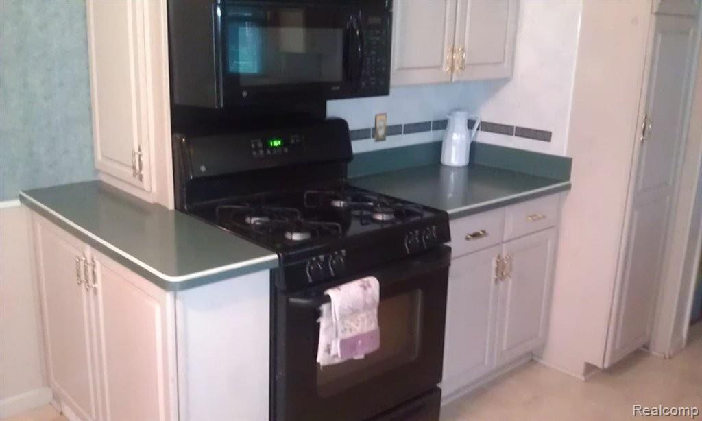 3333 Rockhaven Avenue Rochester, MI 48309 - Photo 5 of 15 kitchen.jpg