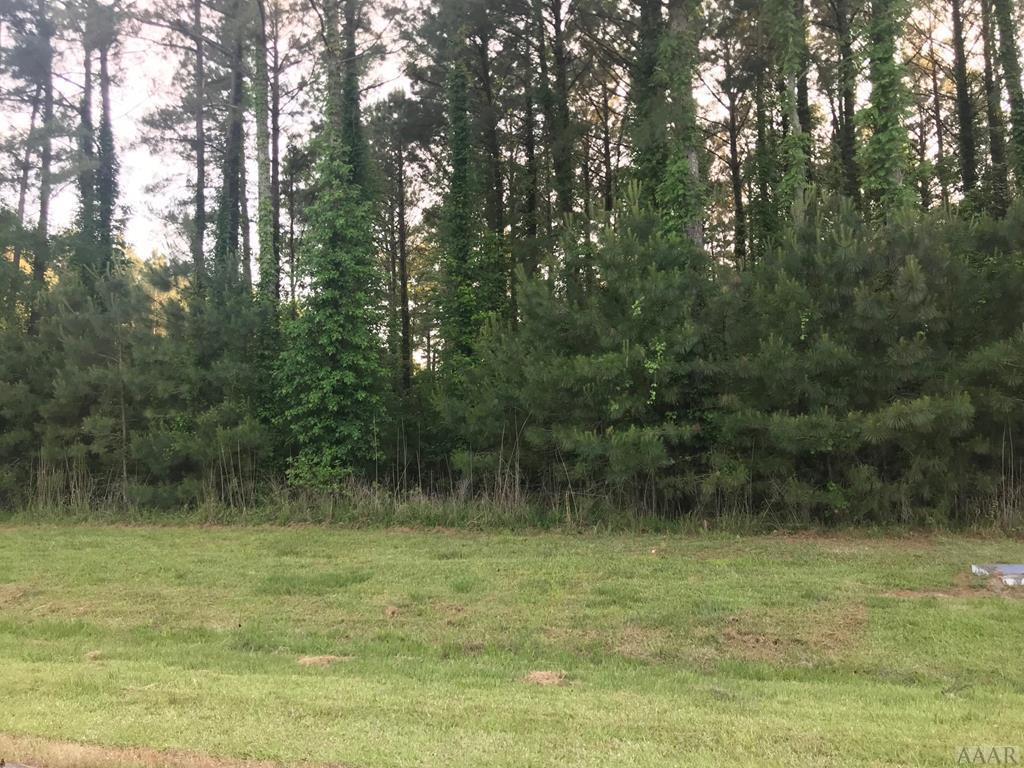 801 Batts Island Road Edenton, NC 27932 - Photo 11 of 23