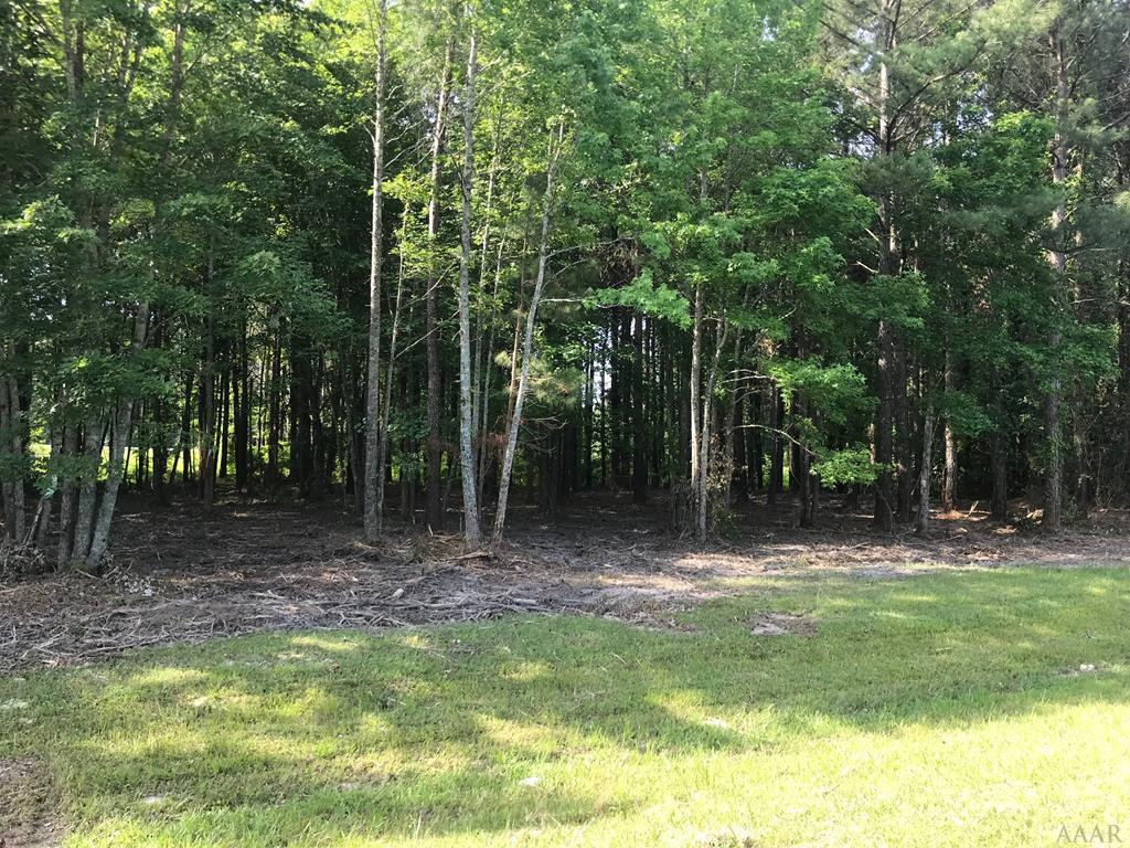 801 Batts Island Road Edenton, NC 27932 - Photo 13 of 23