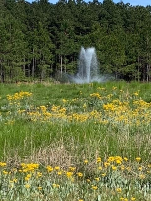 801 Batts Island Road Edenton, NC 27932 - Photo 14 of 23