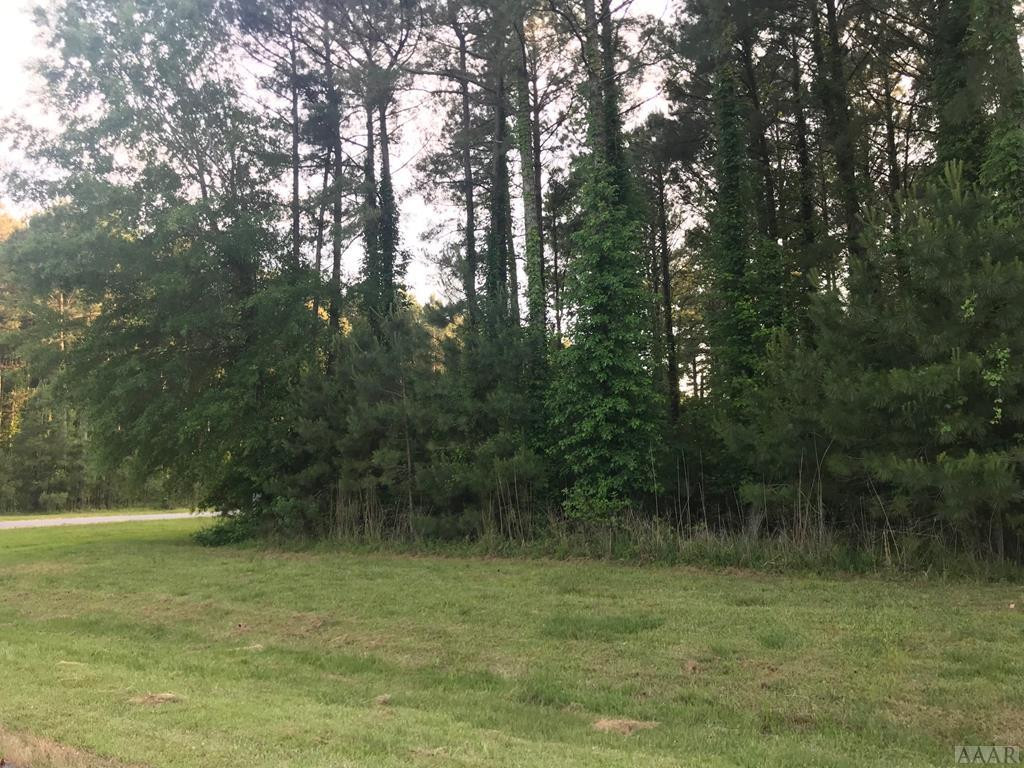 801 Batts Island Road Edenton, NC 27932 - Photo 17 of 23