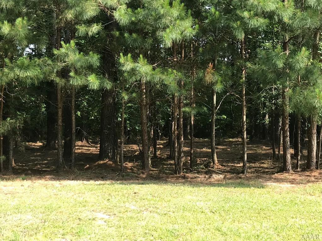 801 Batts Island Road Edenton, NC 27932 - Photo 22 of 23