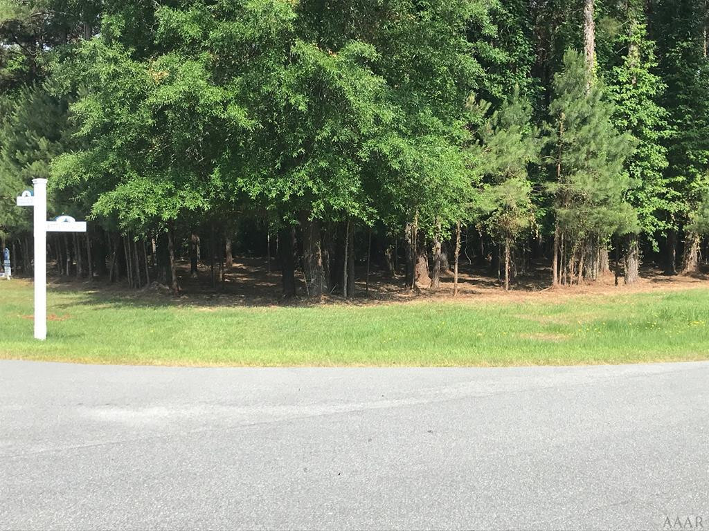 801 Batts Island Road Edenton, NC 27932 - Photo 3 of 23