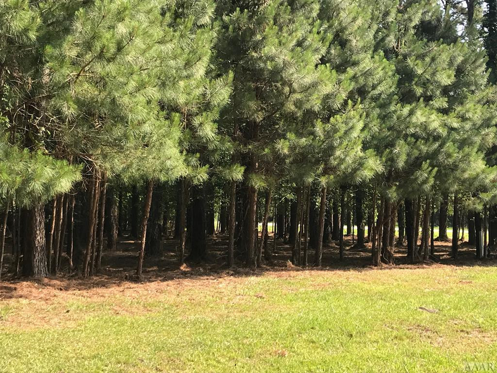 801 Batts Island Road Edenton, NC 27932 - Photo 5 of 23