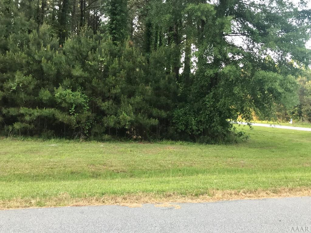 801 Batts Island Road Edenton, NC 27932 - Photo 6 of 23