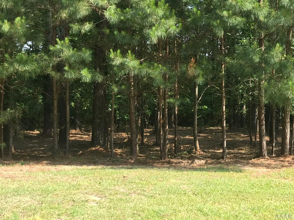 801 Batts Island Road Edenton, NC 27932 - Photo 8 of 23