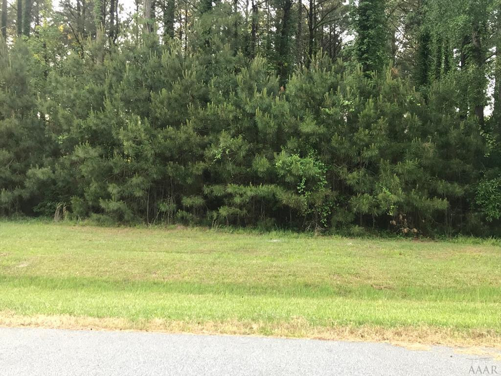 801 Batts Island Road Edenton, NC 27932 - Photo 9 of 23